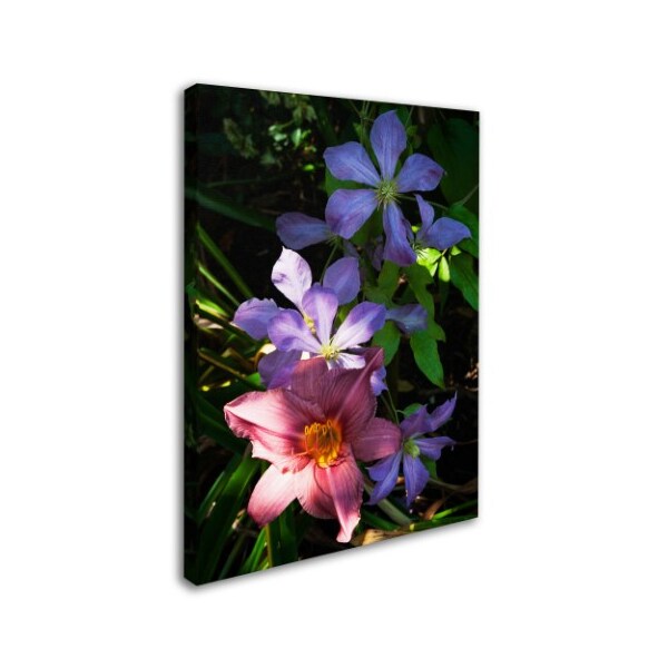 Kurt Shaffer 'Clematis And Lily' Canvas Art,18x24